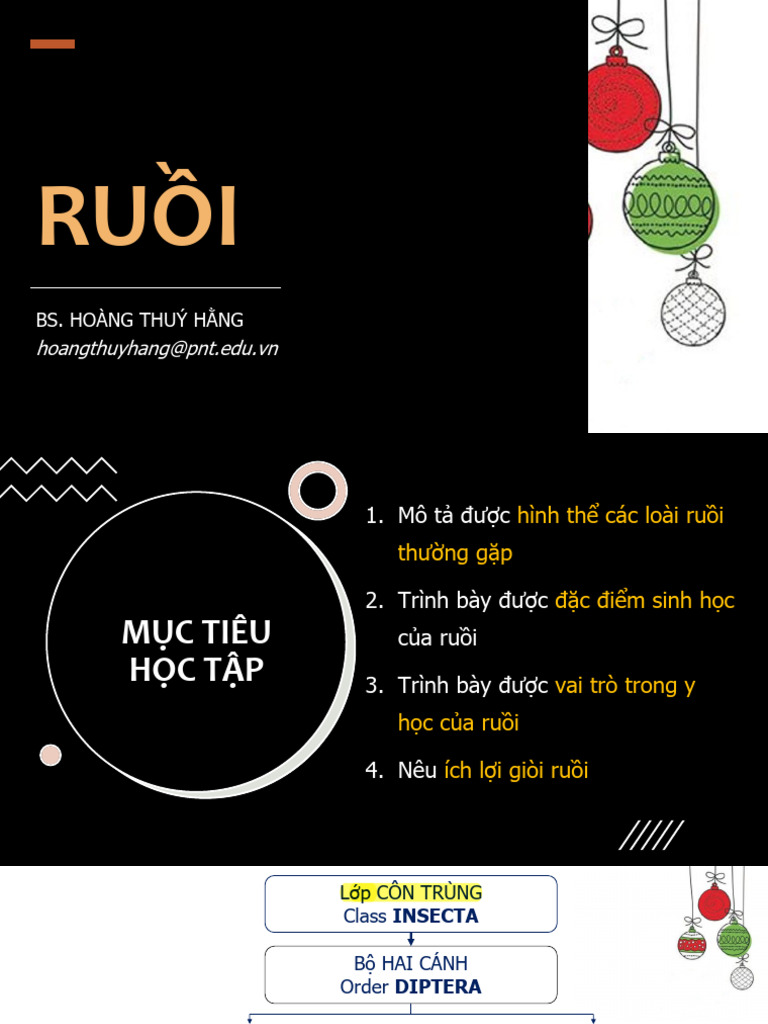2025-2026 RHM LT B2.04.ruoi | PDF