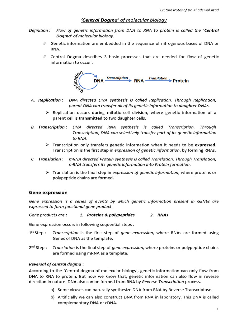 Central Dogma of Molecular Biology Explained | PDF | Gene | Rna