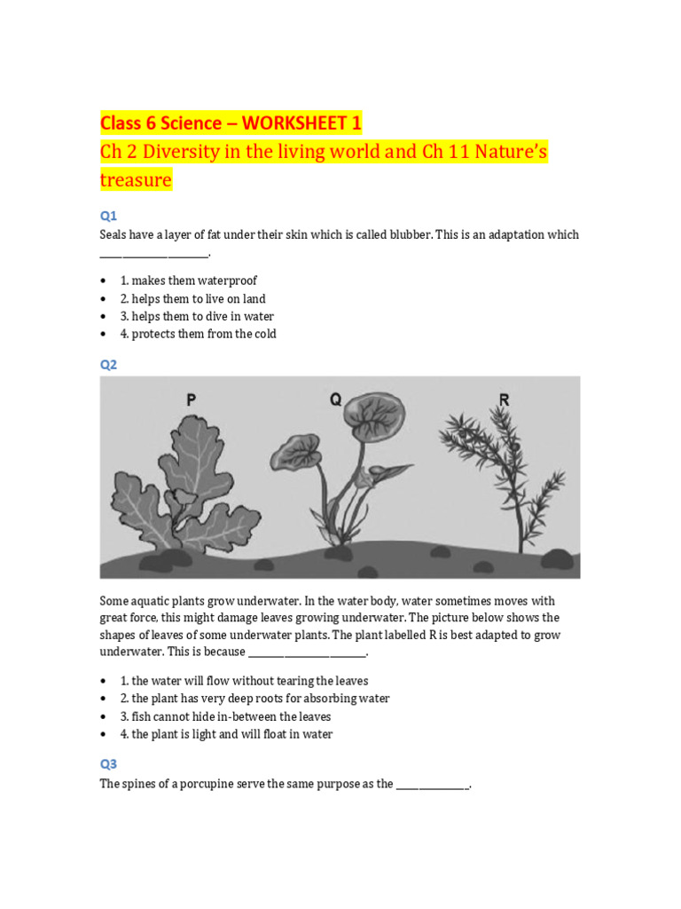 Class 6 Science Worksheet on Adaptations | PDF | Soil | Atmosphere Of Earth