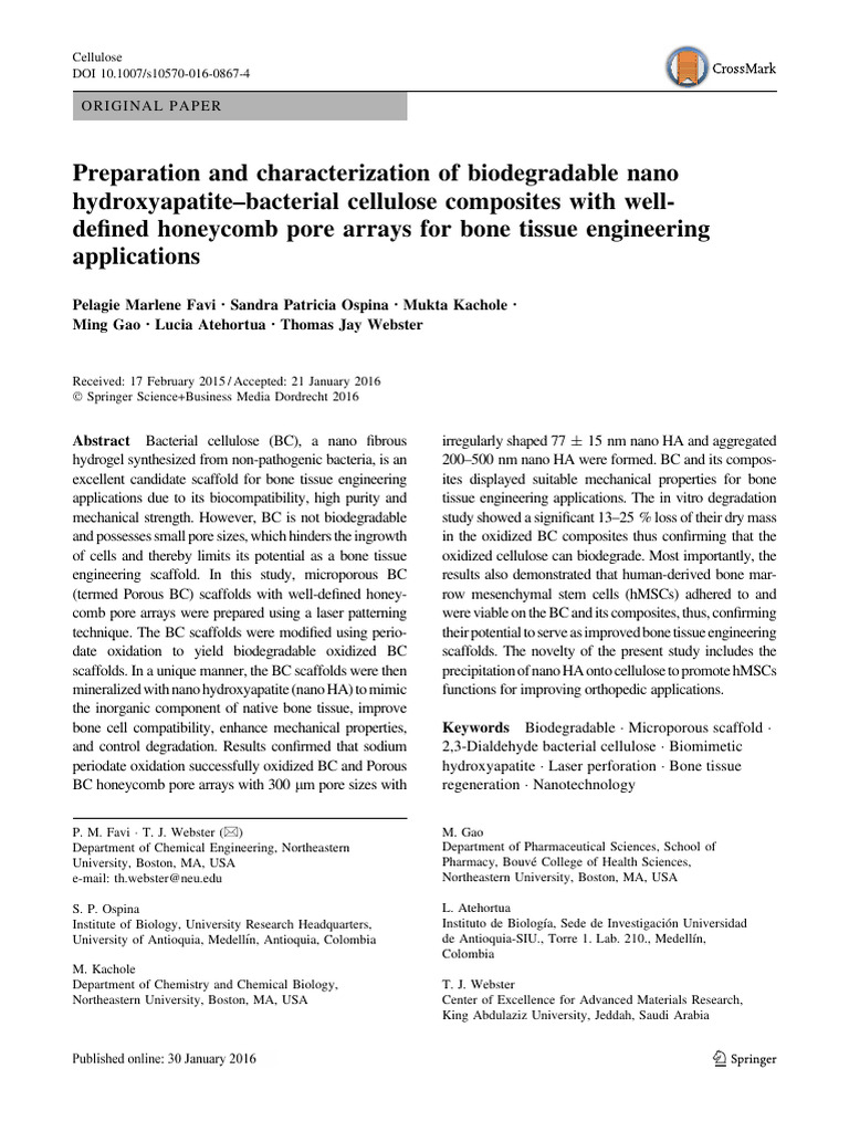 Biodegradable NanoHA-BC Composites for Bone Engineering | PDF ...