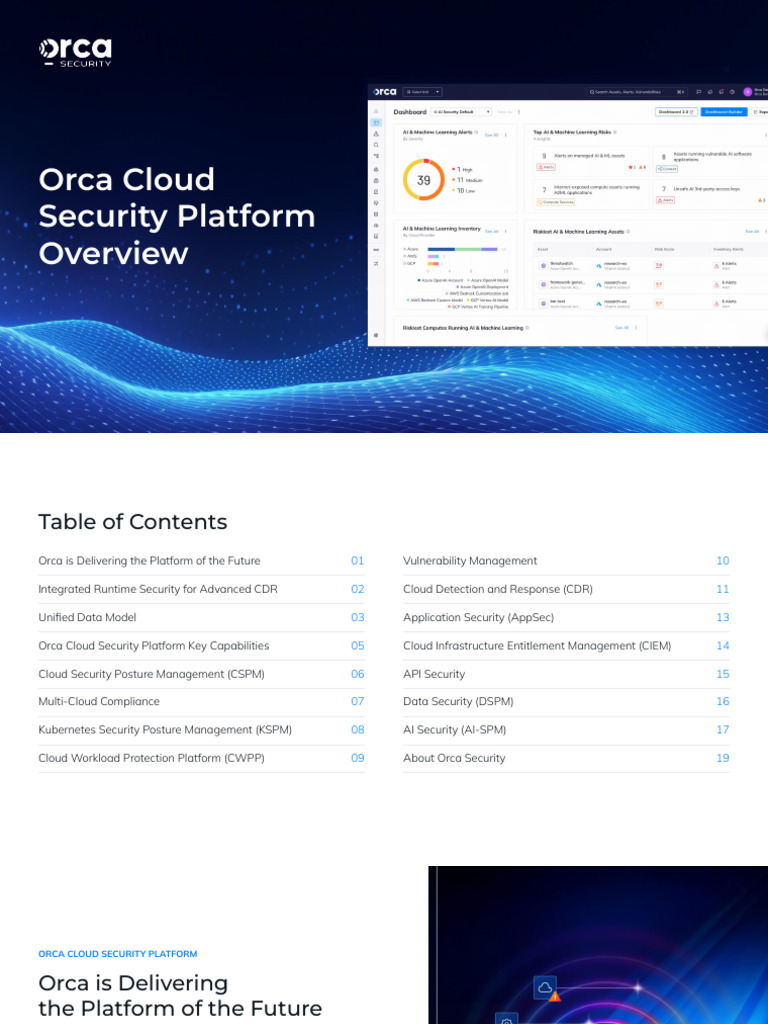 Orca Cloud Security Platform Overview | PDF | Cloud Computing | Security