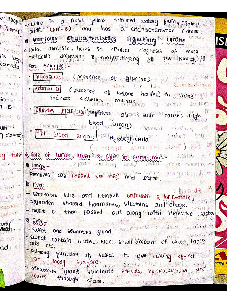 Excretory & Their Elimination Notes (From Roles of Skin, Lungs Till ...