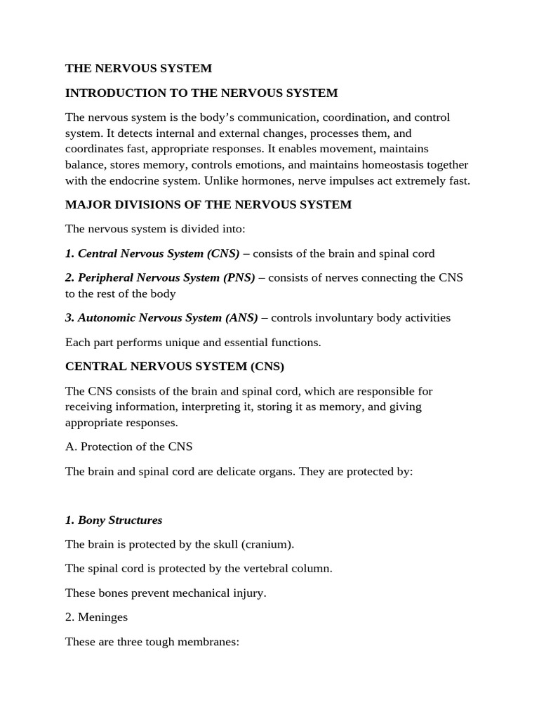The Nervous System | PDF | Nervous System | Central Nervous System