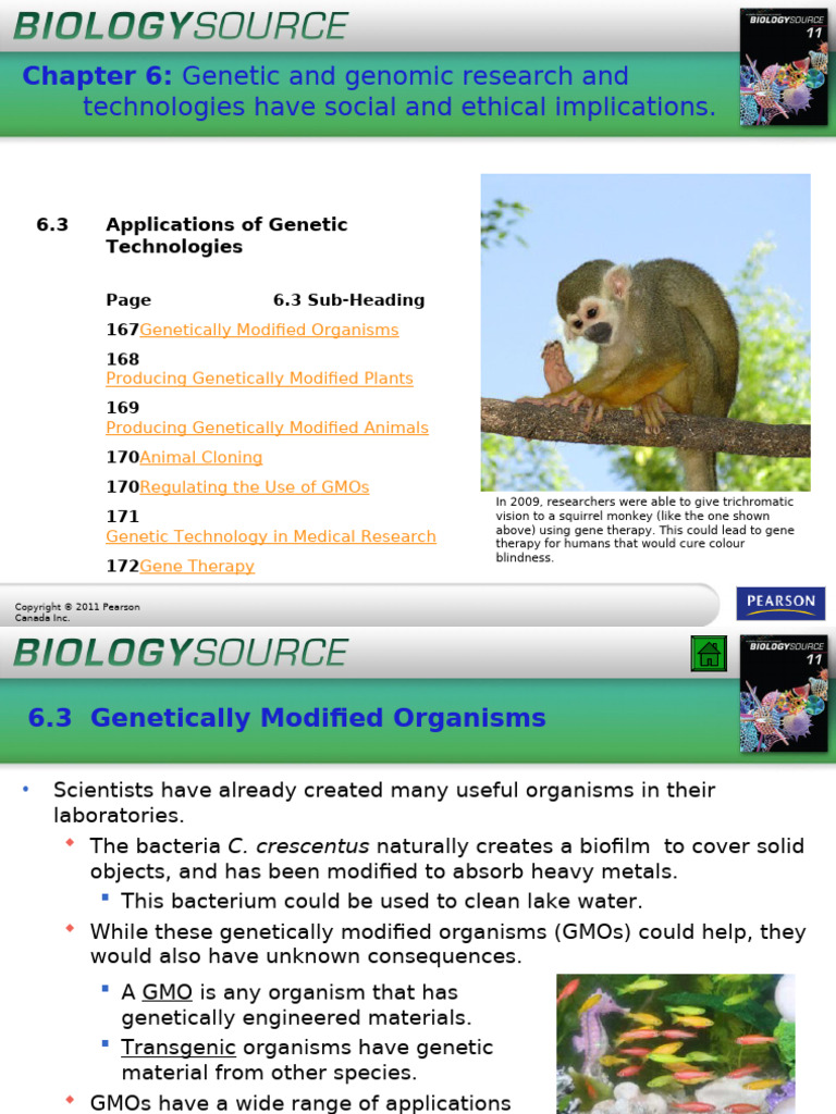 Genetics 1 - On_Bio11!6!3 | PDF | Genetically Modified Organism ...