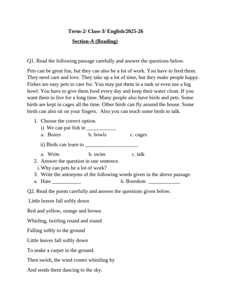 Class 3 English Term 2 Worksheet | PDF | Linguistics | Grammar