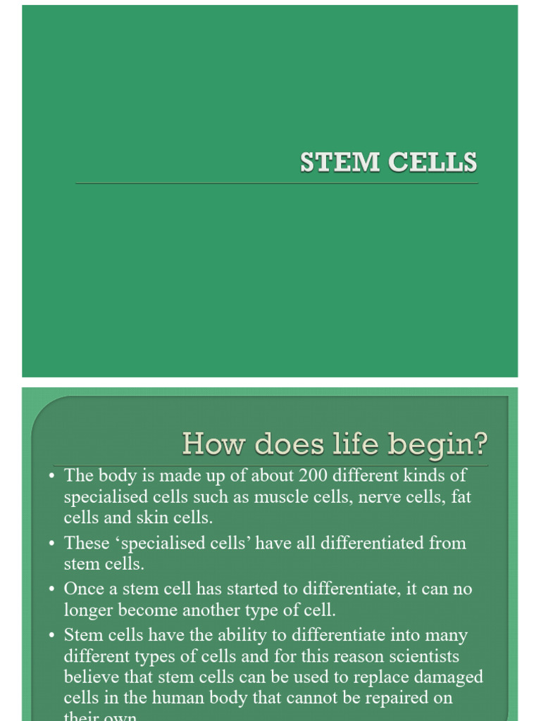 Stem Cells (1) | PDF | Cell Potency | Stem Cell