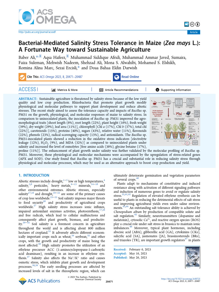 Bacterial Mediated Salinity Stress Tolerance in Maize (Zea Mays l ) a ...