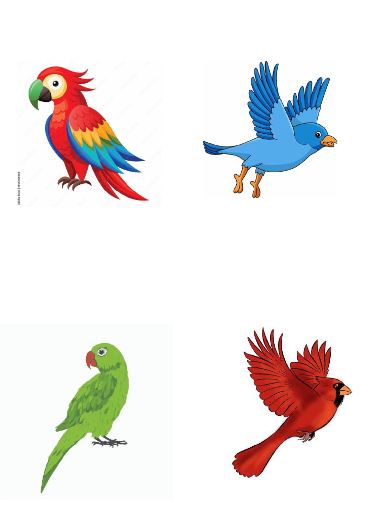 Birds | PDF