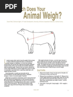 Dog Body Surface Area Conversion Chart | PDF | Metrology | Human Body