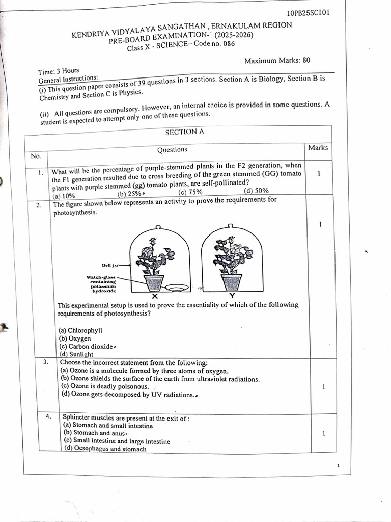 PB 2 | PDF