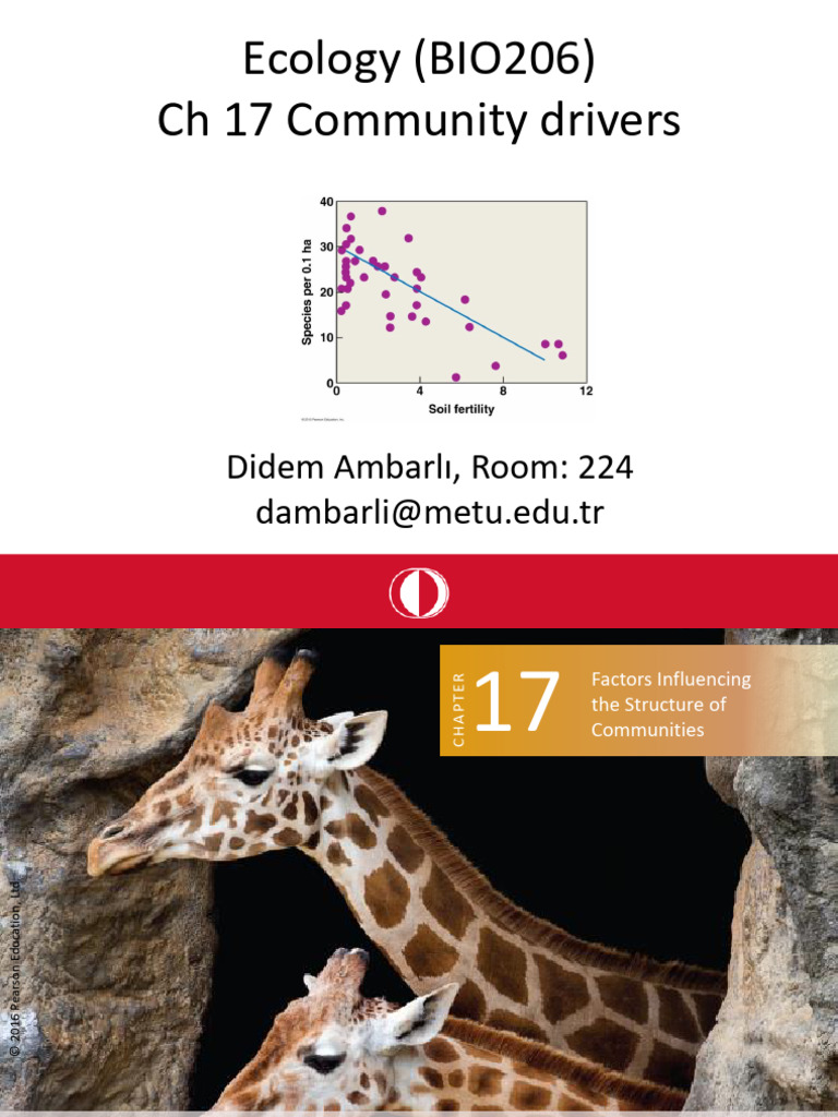 Community Structure in Ecology 206 | PDF | Ecology | Ecological Niche