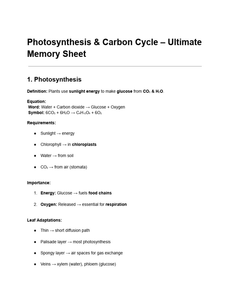 Photosynthesis and Carbon Cycle Guide | PDF | Photosynthesis | Leaf