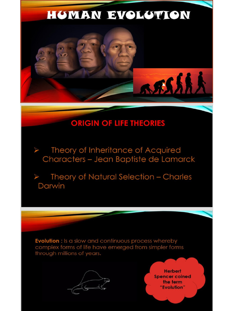 Human Evolution Chap | PDF