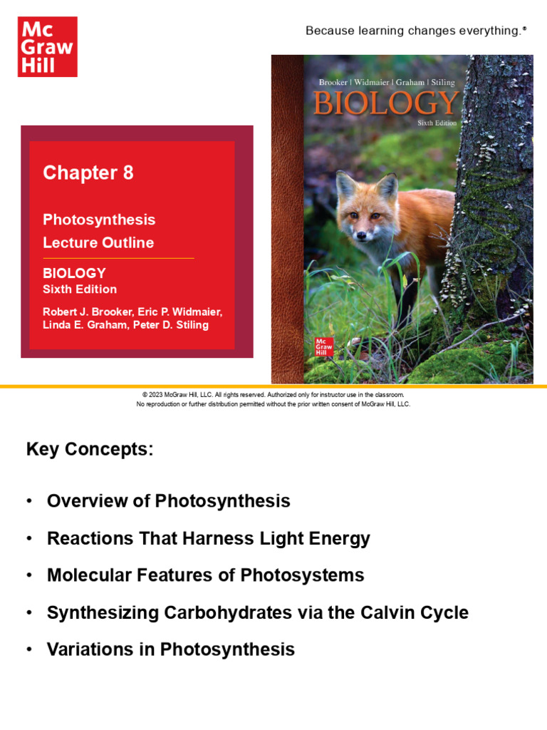 Chapter 6 | PDF | Photosynthesis | Chloroplast