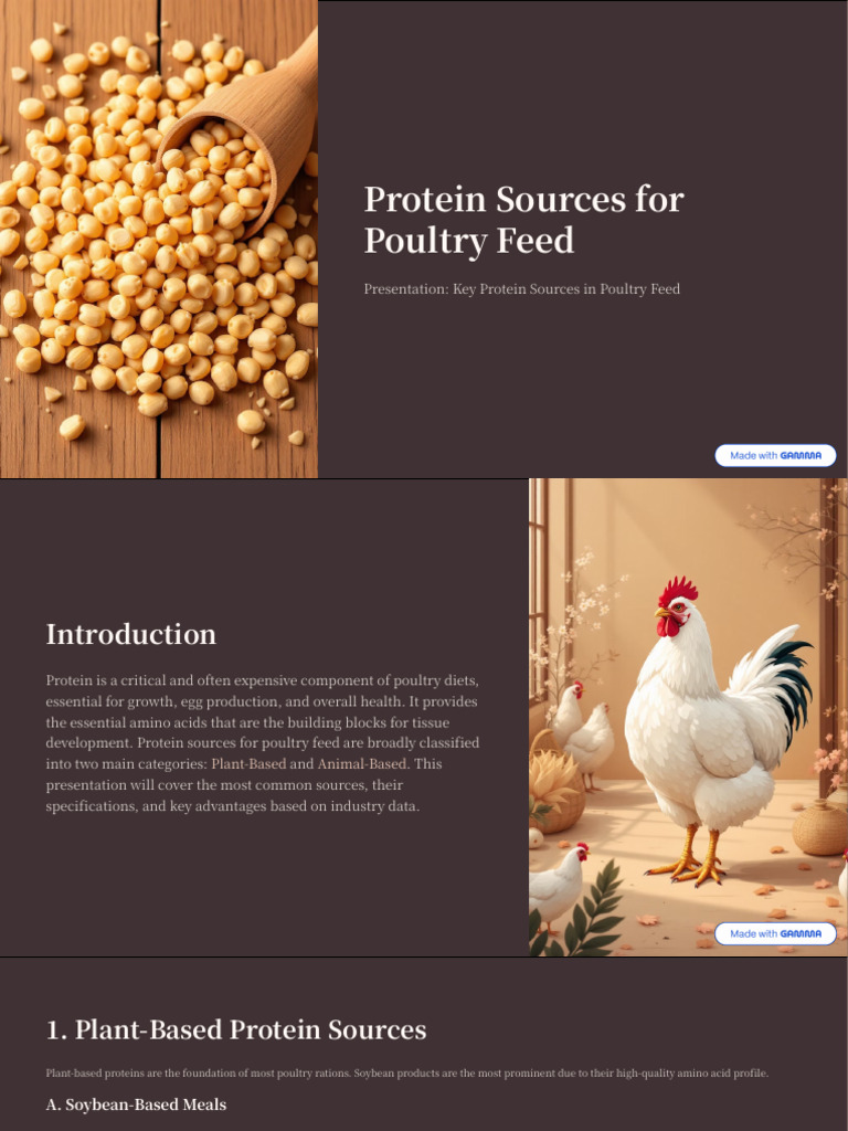 Key Protein Sources for Poultry Feed | PDF | Soybean | Proteins