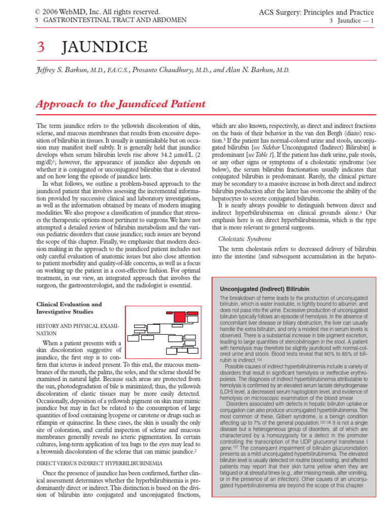 Clinical Approach to Jaundice Management | PDF | Liver | Medical ...