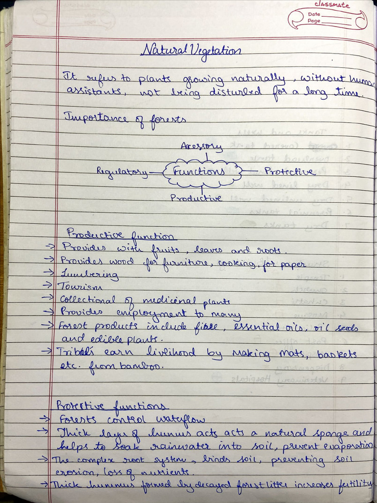 Natural Vegetation Notes | PDF