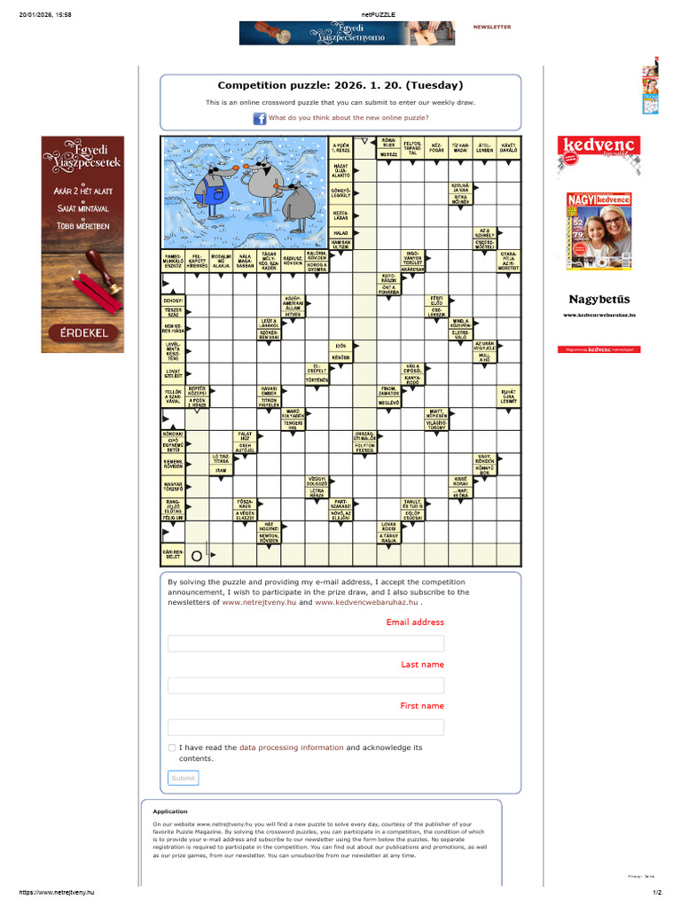 netPUZZLE | PDF | Games Of Mental Skill | Puzzles