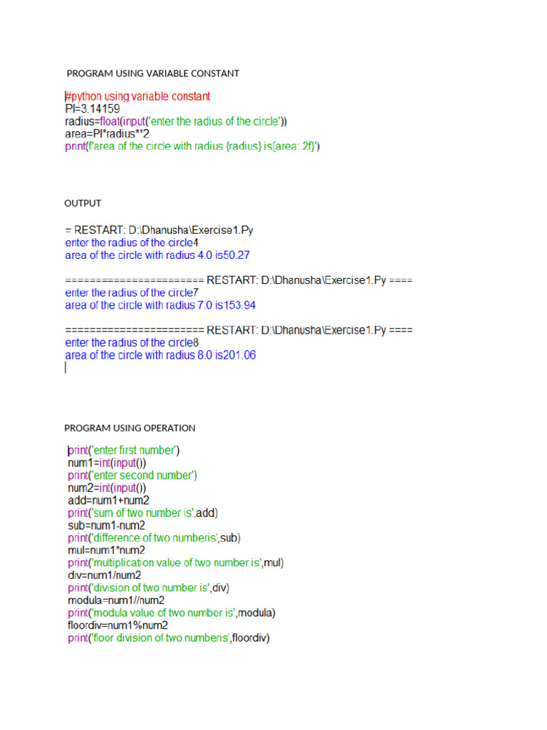 Python Programming Concepts Overview | PDF
