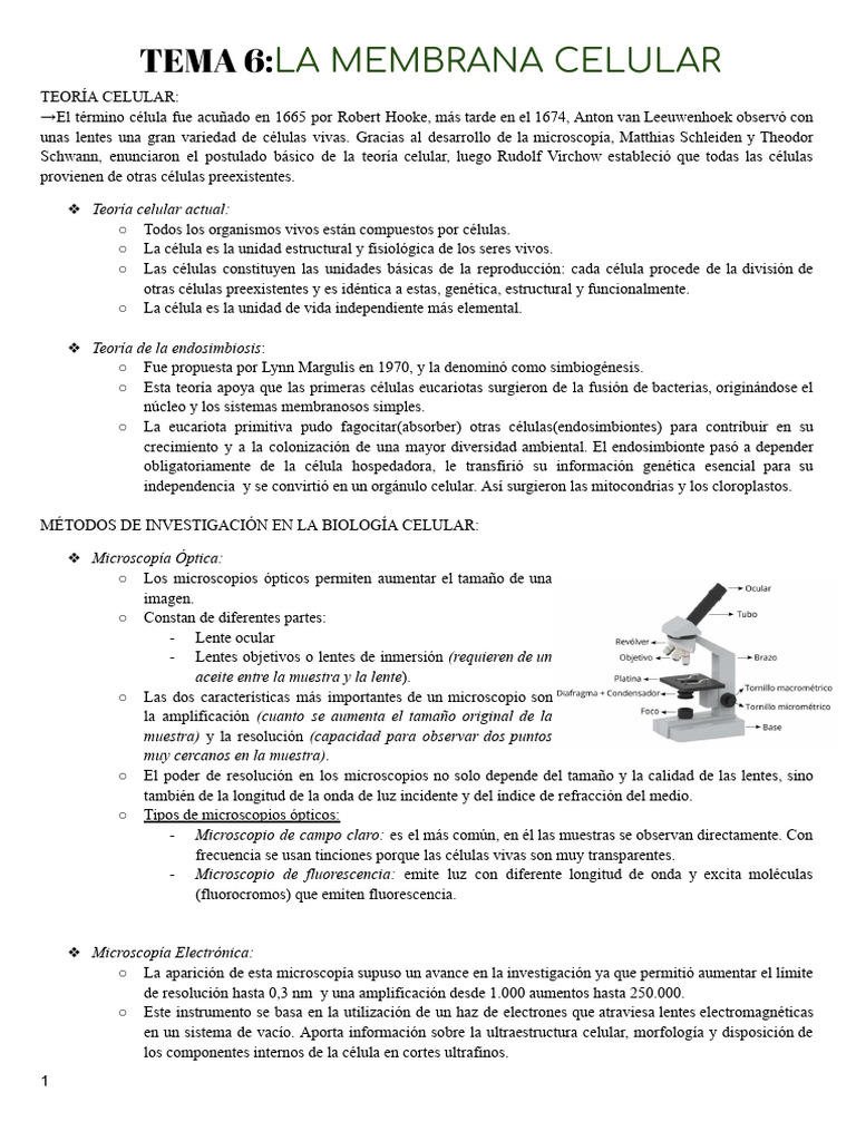 Estructura y Función de la Membrana Celular | PDF | Membrana biológica ...
