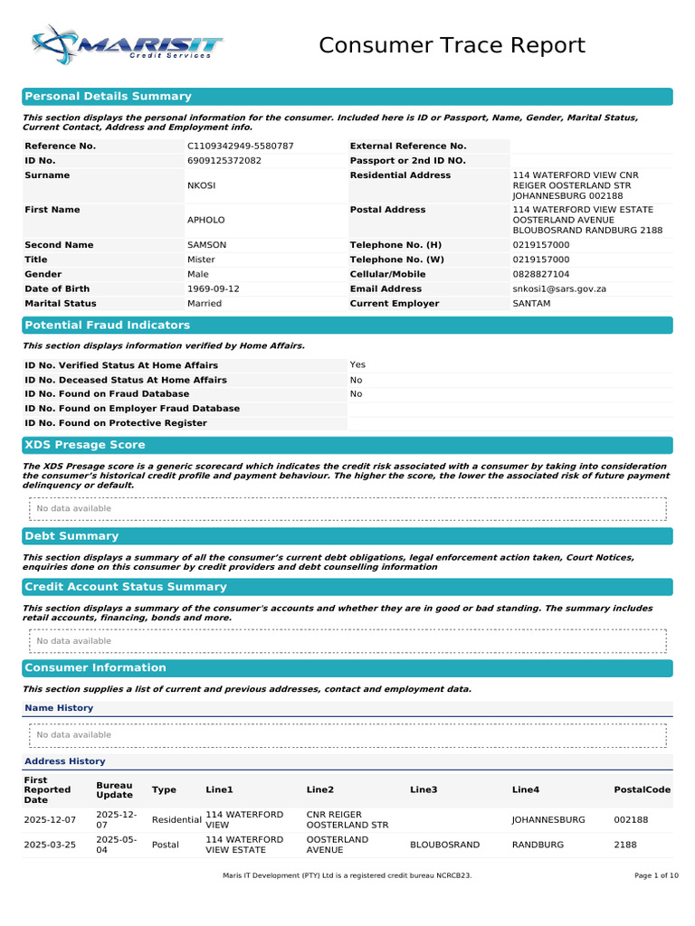 Consumer Personal and Debt Summary Report | PDF