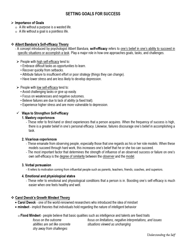 Goal Setting and Self-Efficacy Insights | PDF | Self Efficacy | Goal