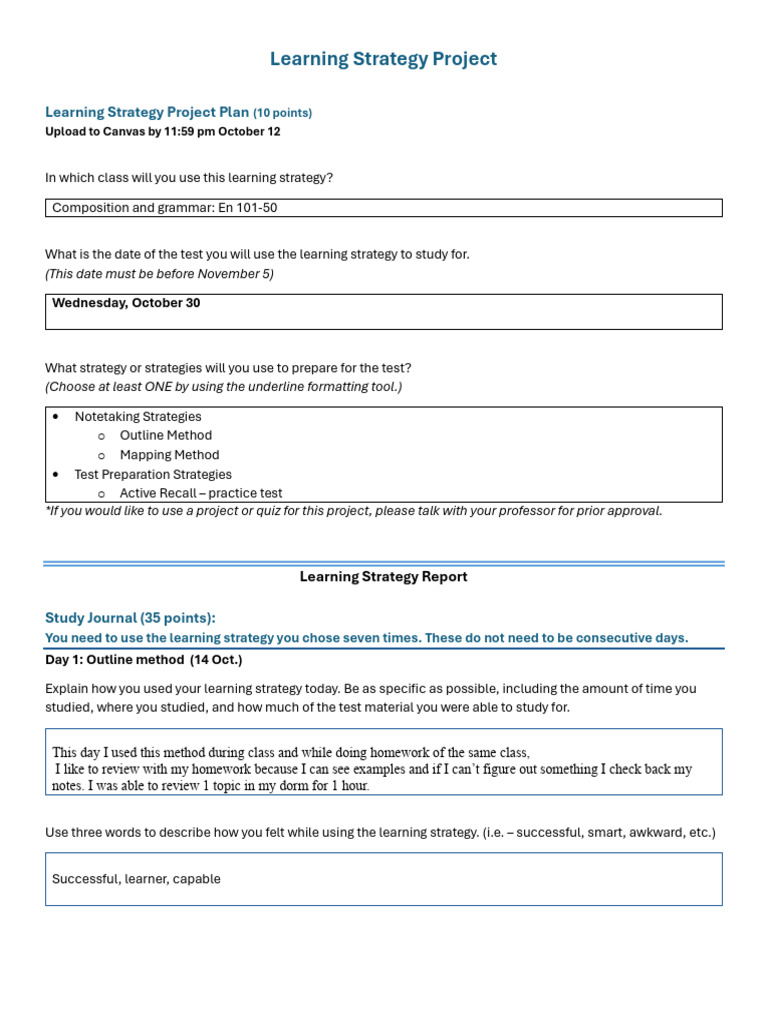Learning Strategy Project Final Elianne | PDF | Adverb | Syntax