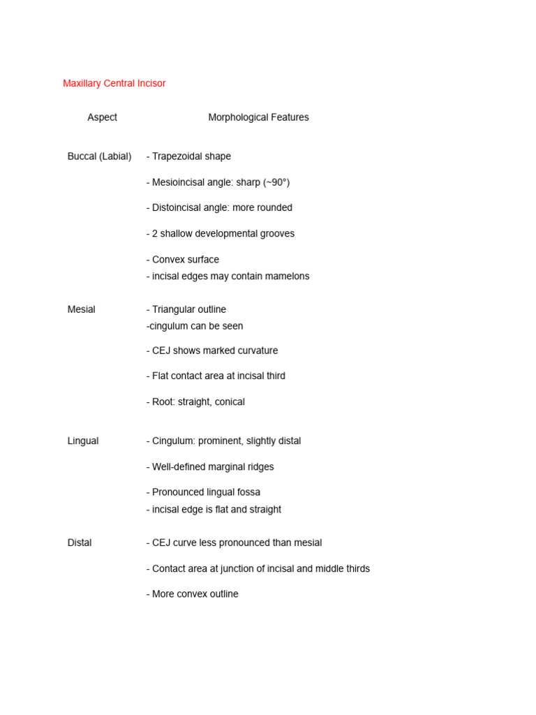Maxillary Central Incisor Morphology Guide | PDF
