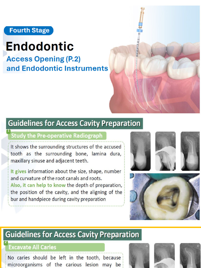 Endo4 - Lec - 3 | PDF