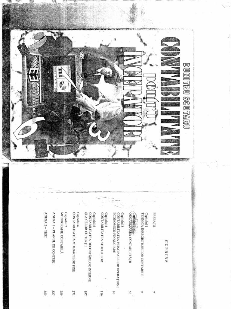 Contabilitate Pentru Incepatori | PDF