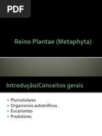 Reino Plantae (Metaphyta)
