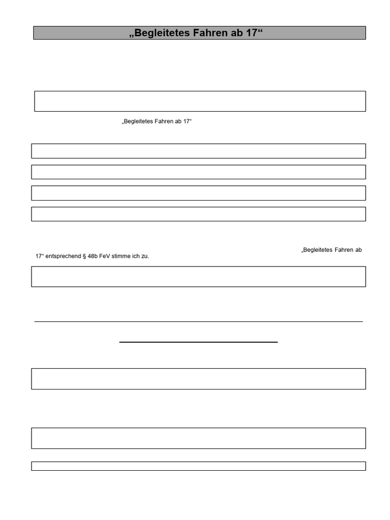 8246 Antrag Begl Fahren Benennung Begleitpersonen | PDF