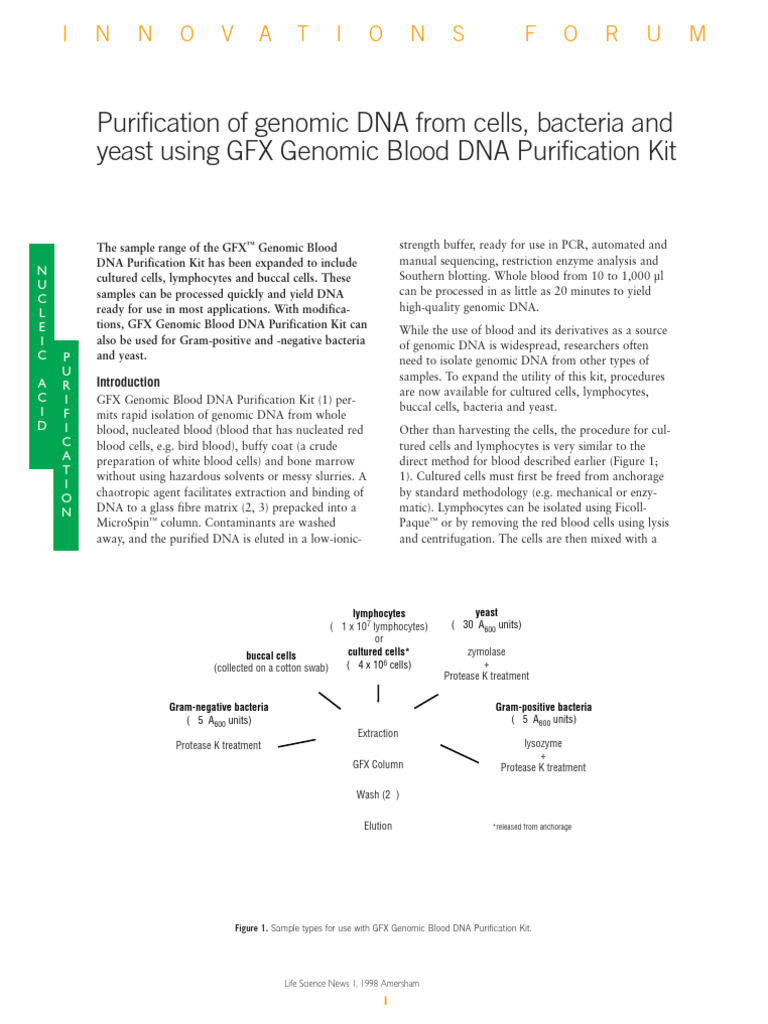 Purification of Genomic DNA From Cells, Bacteria and | PDF | Polymerase ...
