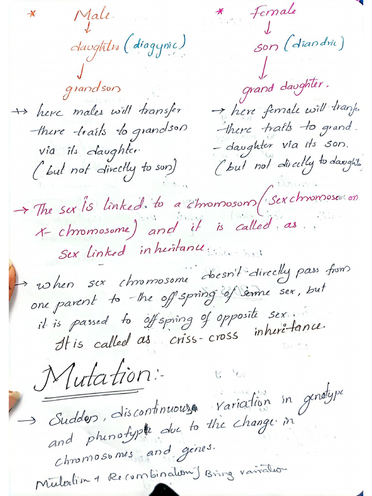 Mutations Notes | PDF