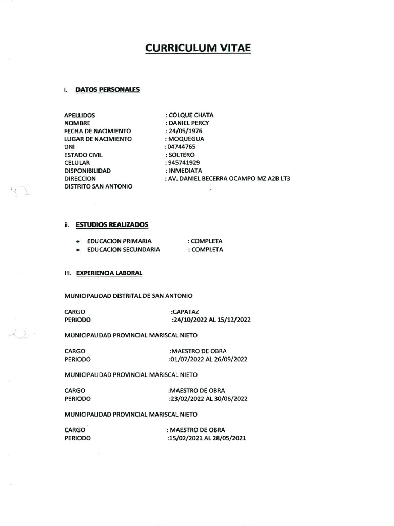 CV. DANIEL COLQUE | PDF