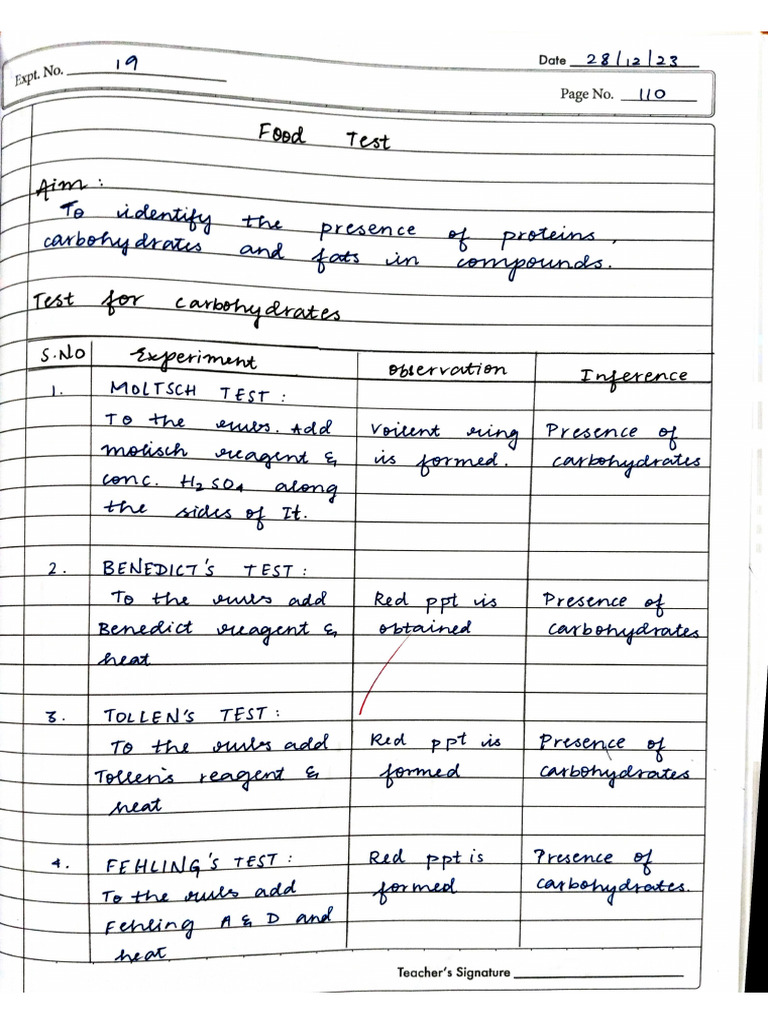 Food Test Activity | PDF