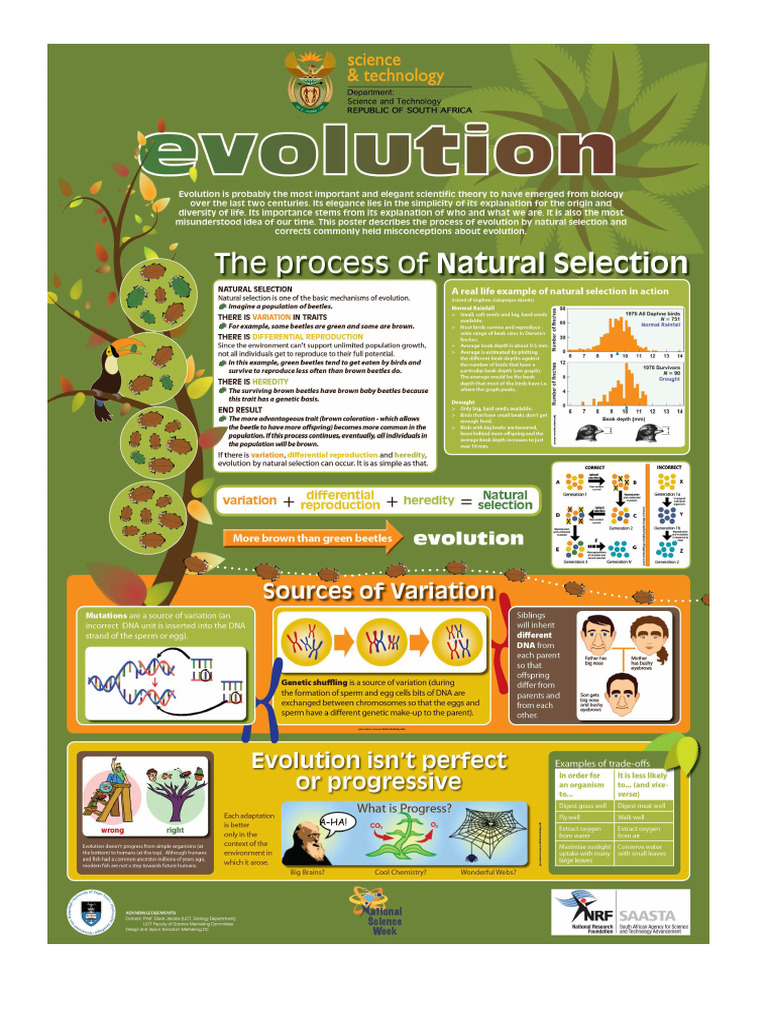 Evolution | PDF