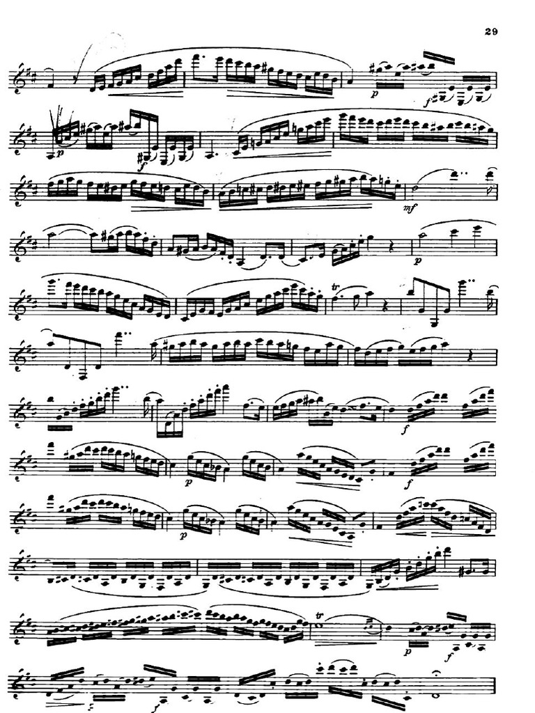 Gamba | PDF
