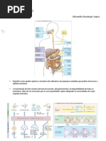 Bioquímica da Digestão