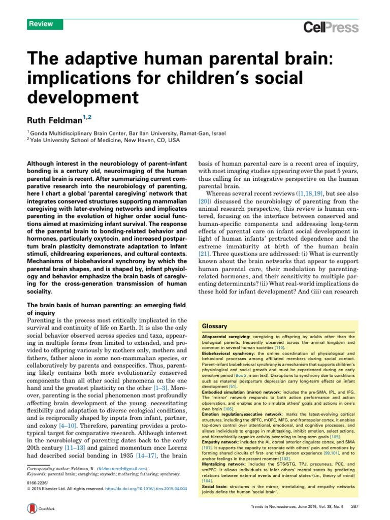 Human Parental Brain and Child Development | PDF | Reward System ...