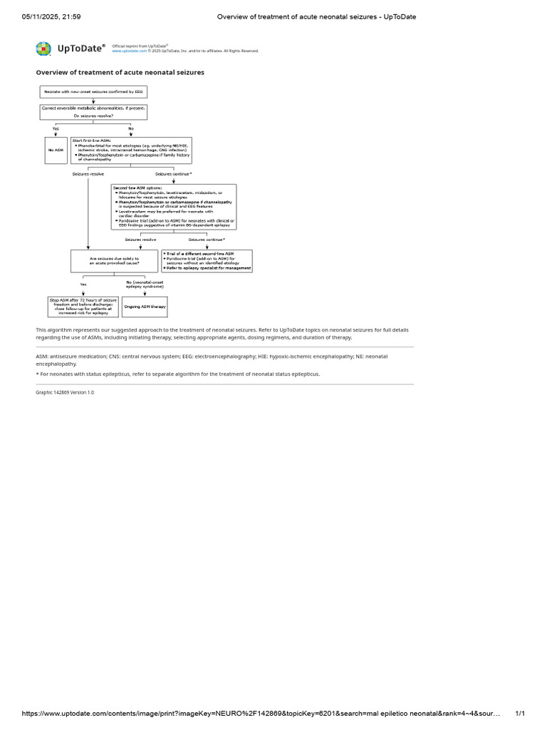 Acute Neonatal Seizures Treatment Guide | PDF