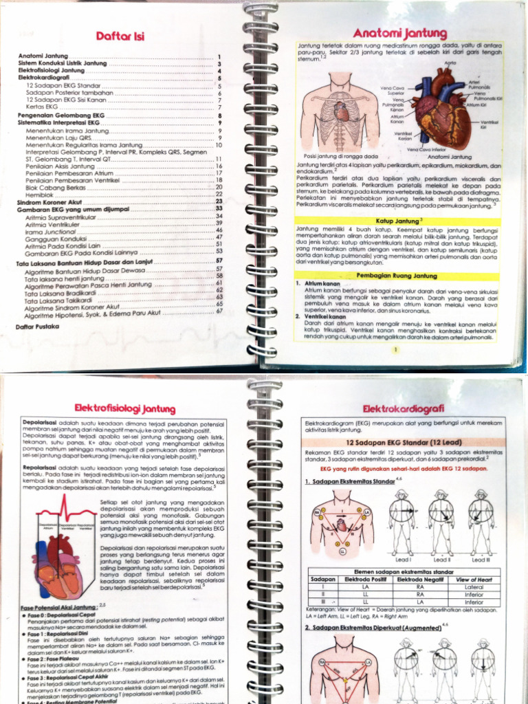 ECG Notes | PDF