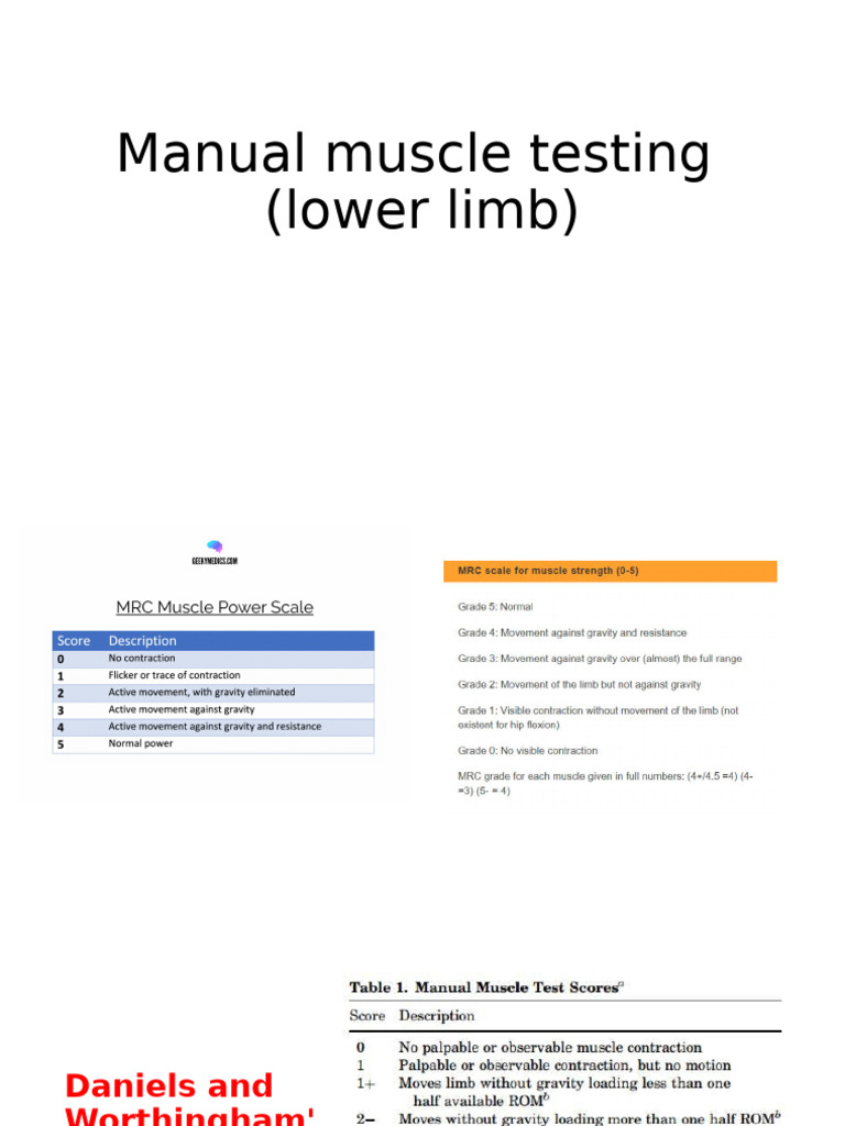 Lower Limb Manual Muscle Testing Guide | PDF