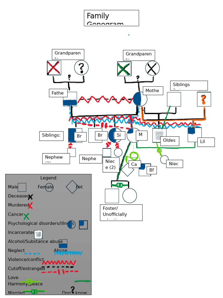Family Genogram with Relationships and Issues | PDF