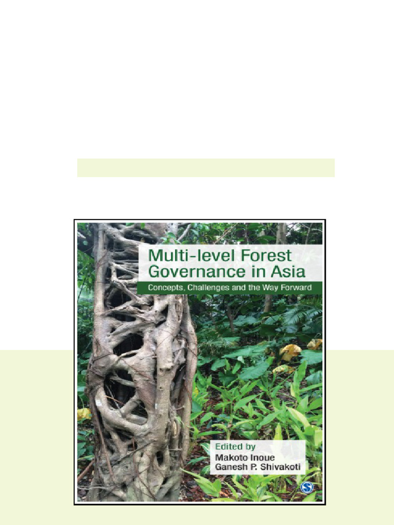 Multilevel Forest Governance In Asia Concepts Challenges And The Way ...