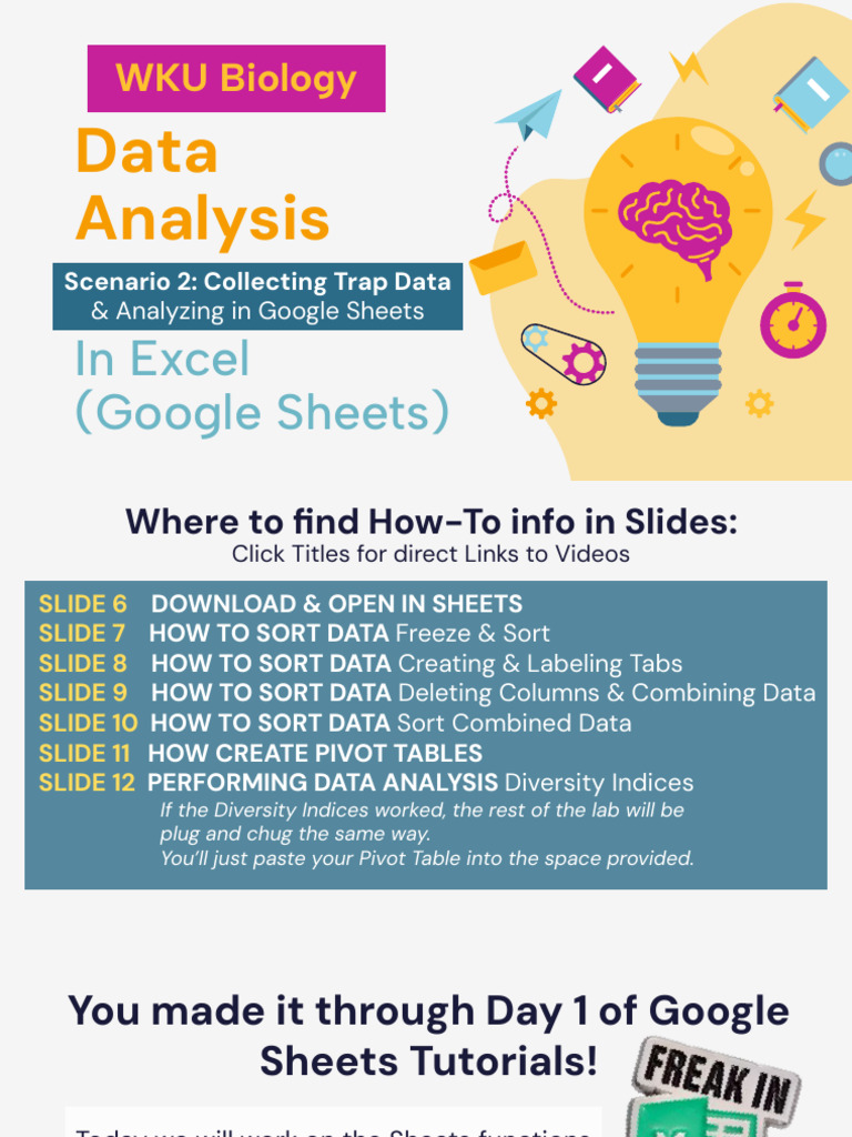 4. WKU Sheets Data Analysis 2 (Scenario 2) | PDF | Data | Microsoft Excel