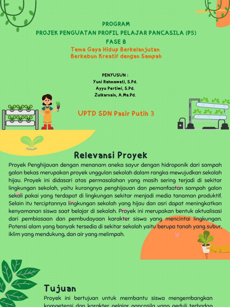 Program P5 Fase B | PDF