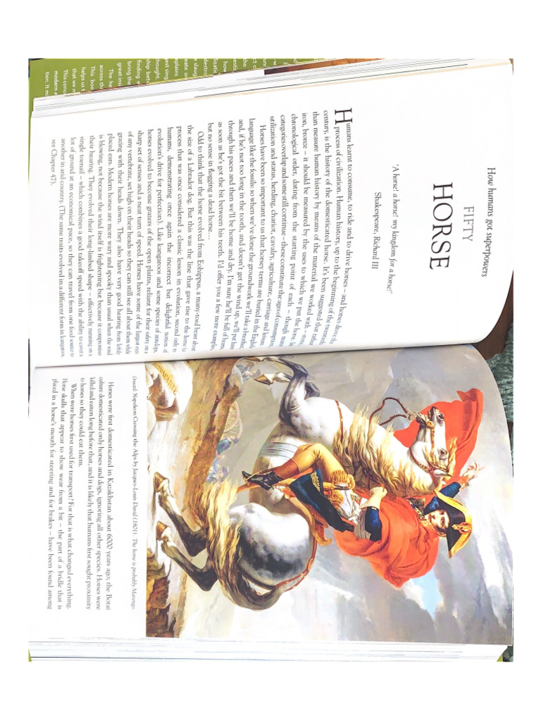 Horse | PDF