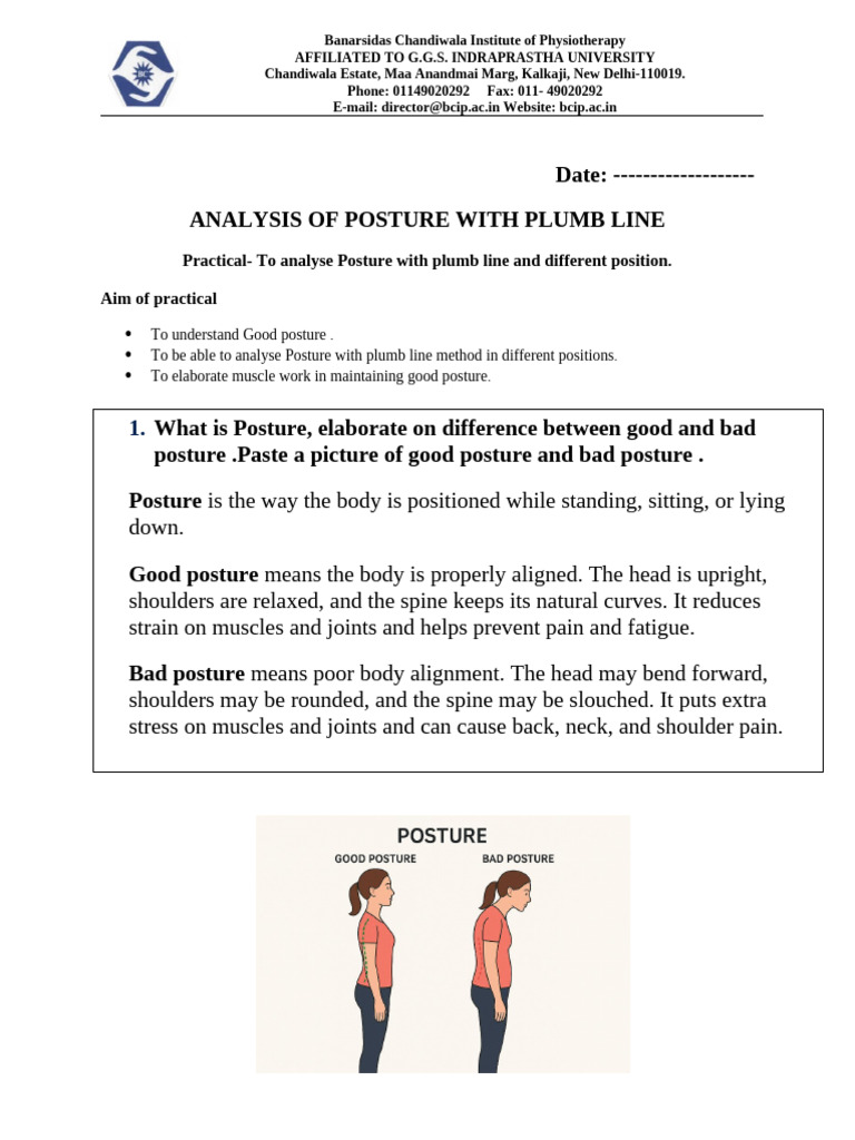 Posture Analysis Using Plumb Line Method | PDF | Balance (Ability) | Pelvis