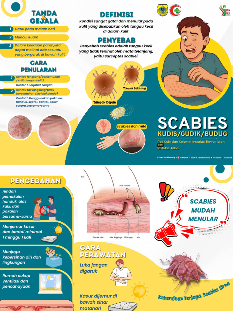 Leaflet Scabies | PDF